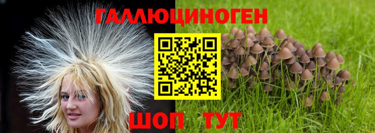 Псилоцибиновые грибы мухоморы  Псилоцибиновые грибы Magic Shrooms  Вход с VPN  Новоалтайск 
